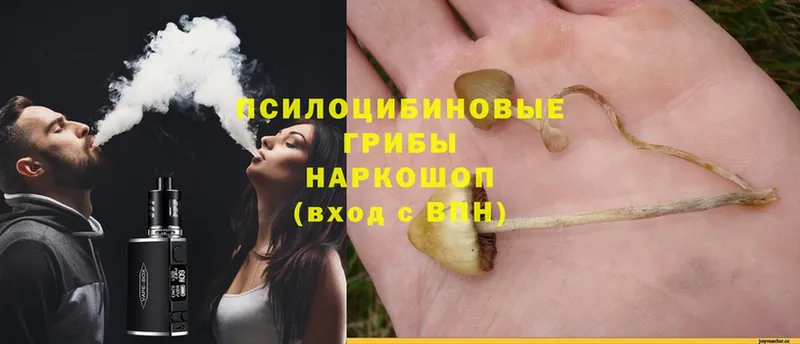 цена наркотик  ссылка на мегу ССЫЛКА  Псилоцибиновые грибы MAGIC MUSHROOMS  Нерехта 